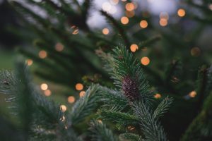 The Best Selling Activities for December - Sales Tips from B2B Sales Connections