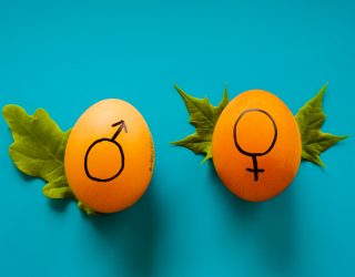 Which gender is better at sales - Recruiting tips from B2B Sales Connections